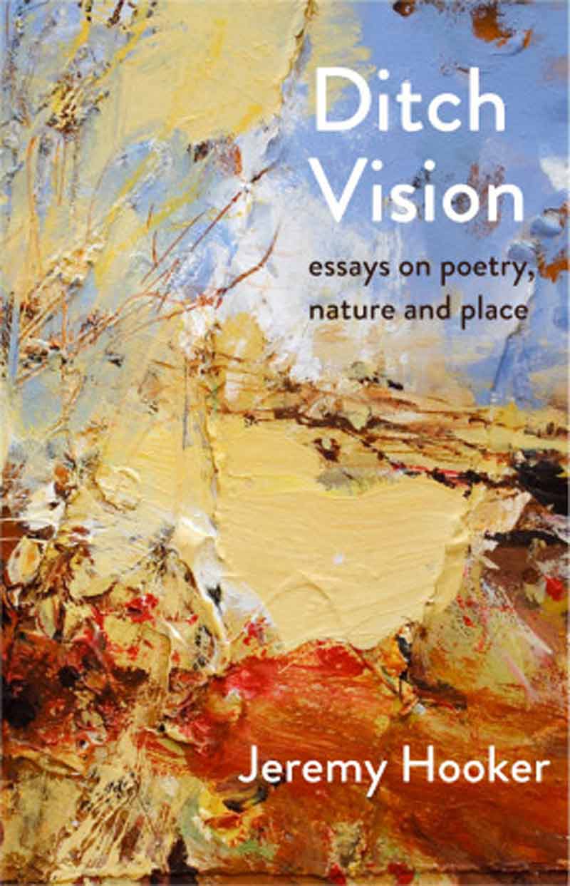 Ditch Vision: Essays on Poetry, Nature and Place By Jeremy Hooker