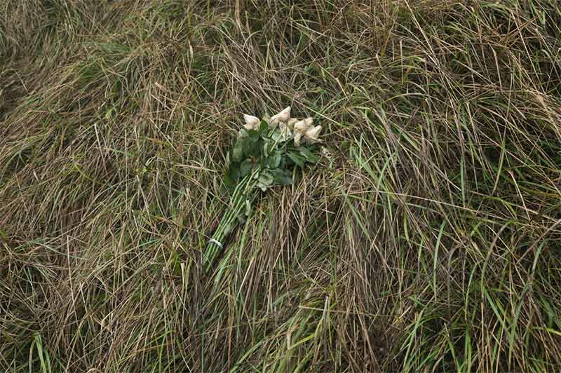 Roses left at the top of the cliff. Brian David Stevens, ‘Beachy Head’.  