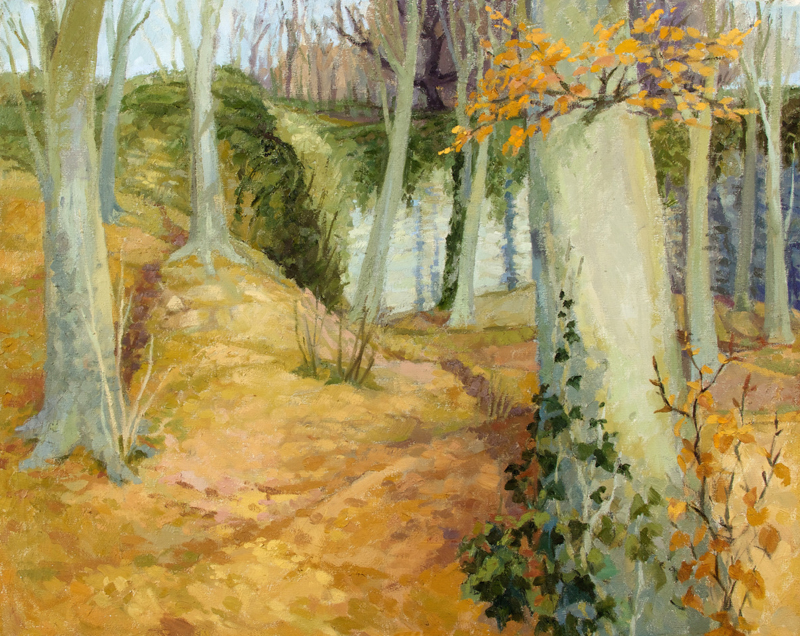 St Fagans Woods, 1991, oil on canvas, 61x76cm, University of South Wales